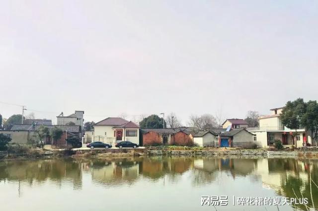 张老家乡新项目引领发展，重塑乡村未来