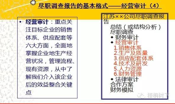 新澳门内部猛料今晚,专业调查解析说明
