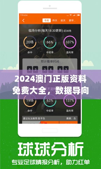 2025澳门精准免费大全,收益解析说明