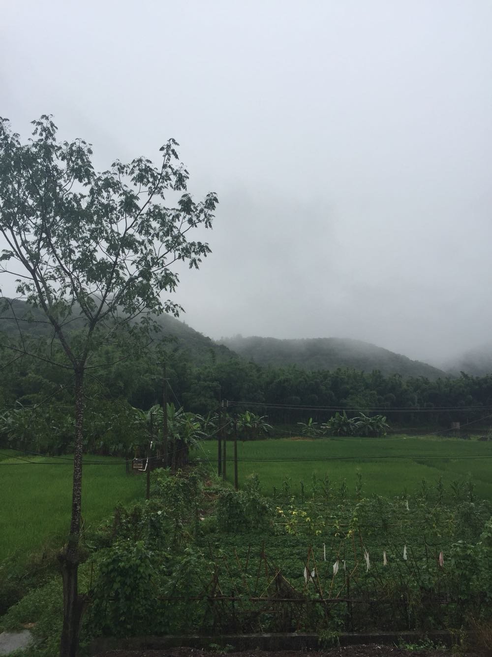 前山村民委员会天气预报更新通知
