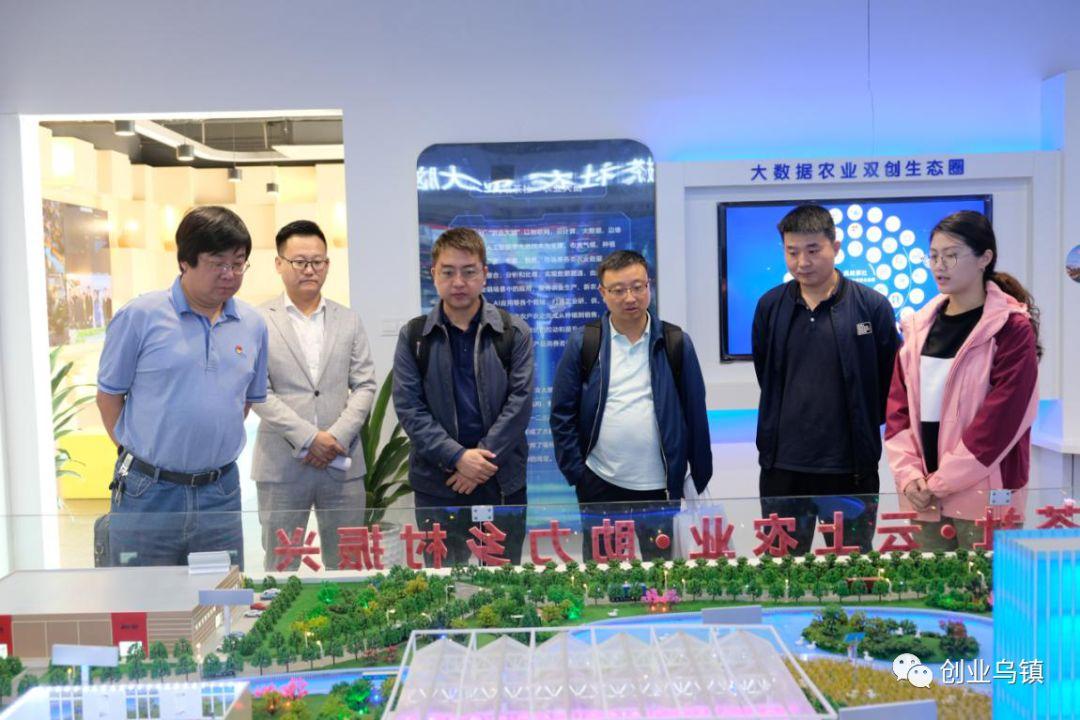 马边彝族自治县人民政府办公室最新项目概览