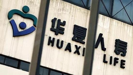 中天金融公司最新信息深度解析与概述
