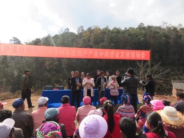 剪子村委会最新项目启动，乡村振兴新篇章开启