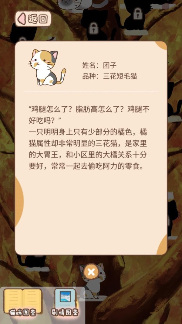 猫某最新版揭秘，全新特性与独特魅力探索