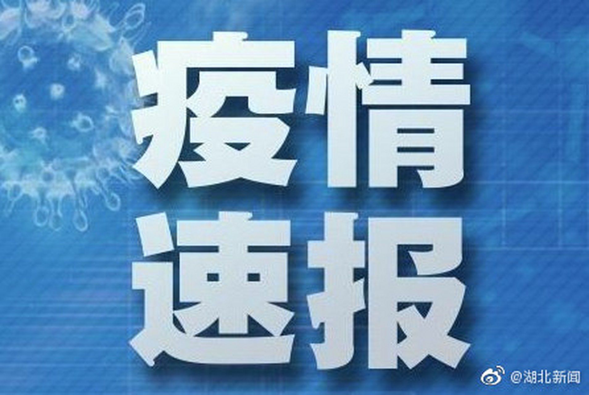 全球疫情最新动态，全球态势与应对策略更新通报