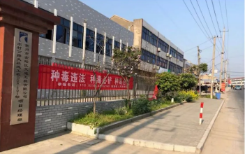 指前镇最新新闻动态报道速递