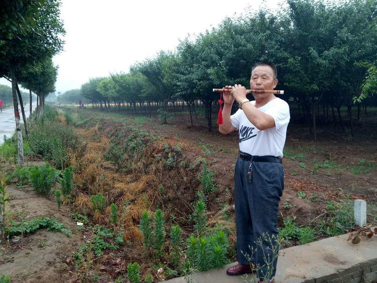 洪湖市体育局最新项目引领城市体育事业迈向新高度