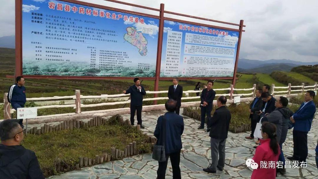 宕昌县科技局发展规划引领科技创新，推动县域经济高质量发展新篇章